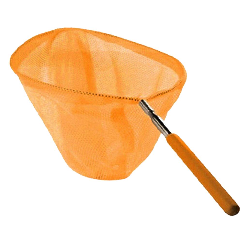 伸縮式子供用釣り網折りたたみメッシュバタフライバグキャッチャ - Outdoor Adventure With Kids のレビューと価格