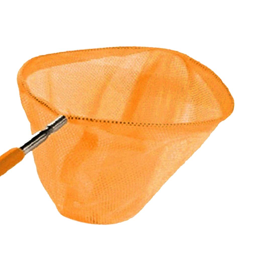 伸縮式子供用釣り網折りたたみメッシュバタフライバグキャッチャ - Outdoor Adventure With Kids のレビューと価格